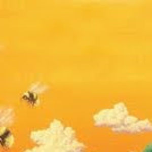 Meet your Posher, Teri